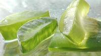 Aloe vera je výborným pomocníkom pri detoxe